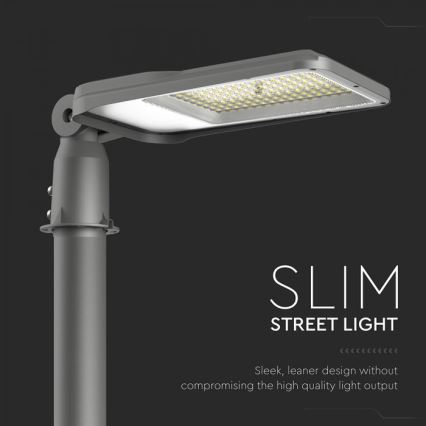 Светодиодный уличный фонарь SAMSUNG CHIP LED/100W/230V 6500K IP65