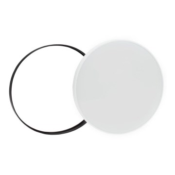 Светодиодный уличный потолочный светильник NYMPHEA LED/18W/230V IP54 6000K