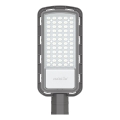 Светодиодный уличный фонарь LED/150W/230V 6500K IP65 серый