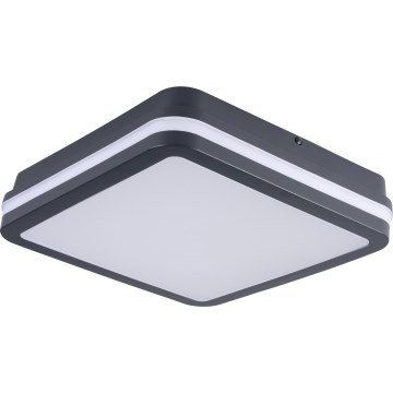 Светодиодный уличный потолочный светильник BENO LED/24/30W/230V 3000/3500/4000K IP65 антрацит угловой