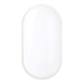 Светодиодный уличный потолочный светильник LED/20W/230V IP65 белый