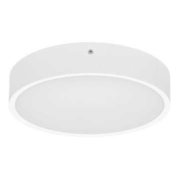 Светодиодный уличный потолочный светильник MARTIN LED/15W/230V 3000/4000K диаметр 30 см IP65 белый