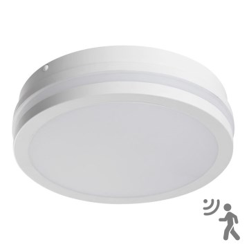 Светодиодный уличный потолочный светильник с датчиком BENO LED/18W/230V 4000K белый IP54