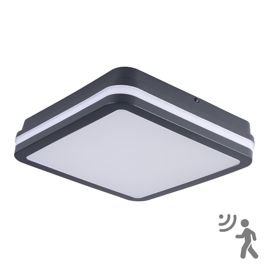 Светодиодный уличный потолочный светильник с датчиком BENO LED/24W/230V 4000K антрацит IP54