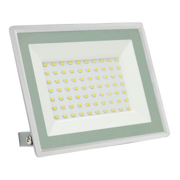 Светодиодный уличный прожектор NOCTIS LUX 3 LED/50W/230V IP65 белый