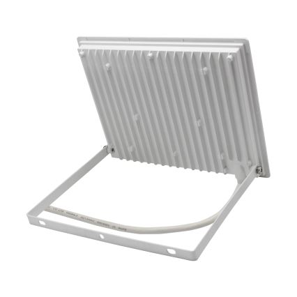 Светодиодный уличный прожектор NOCTIS LUX 3 LED/50W/230V IP65 белый