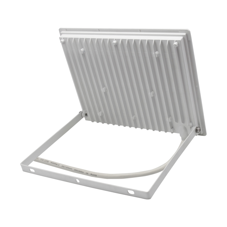 Светодиодный уличный прожектор NOCTIS LUX 3 LED/50W/230V IP65 белый
