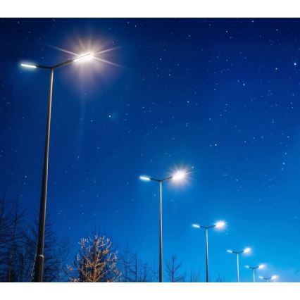 Светодиодный уличный светильник BRELUXO LED/50W/230V 4000K IP65