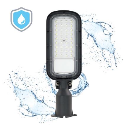 Светодиодный уличный светильник BRELUXO LED/50W/230V 4000K IP65