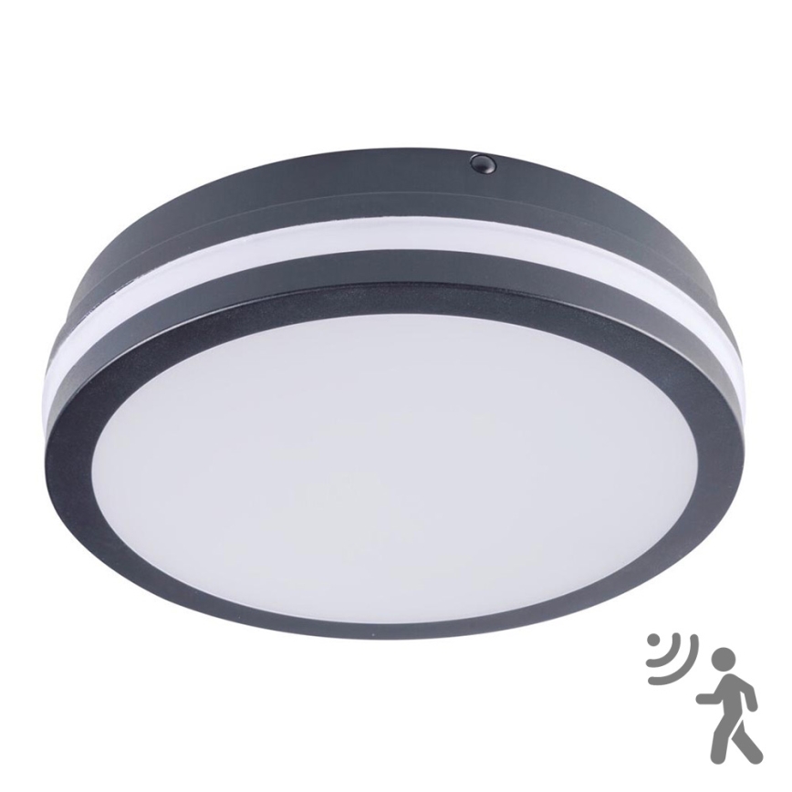 Светодиодный уличный светильник с датчиком BENO LED/18W/230V 4000K антрацит IP54