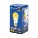Светодиодная лампочка FILAMENT ST64 E27/6W/230V 2700-6500K - Aigostar