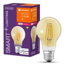 Светодиодная лампочка с регулированием яркости SMART+ FILAMENT A55 E27/6W/230V 2400K - Ledvance