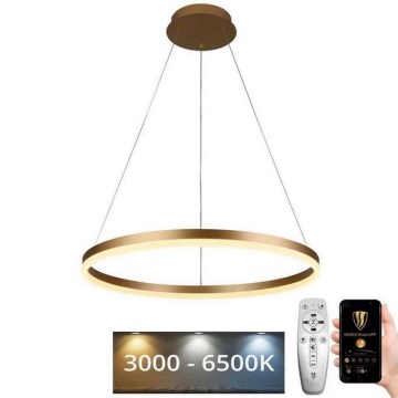 Светодиодная подвесная люстра с регулированием яркости LED/42W/230V 3000-6500K + дистанционное управление