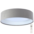 Светодиодный диммируемый потолочный светильник SMART GALAXY LED/24W/230V серый/белый + пульт ДУ