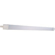 Светодиодный люминесцентный светильник DAISY LED/40W/230V 4000K IP65