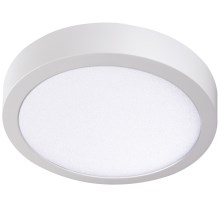 Светодиодный потолочный светильник CARSA LED/24W/230V 4000K белый
