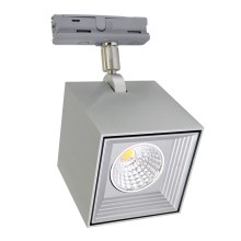 Светодиодный потолочный светильник DAU SPOT MONOFASE LED/10W/230V