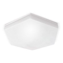 Светодиодный потолочный светильник для ванной комнаты HEXAN LED/24W/230V IP54