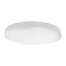 Светодиодный потолочный светильник для ванной комнаты LED/24W/230V 6500K IP44 белый