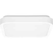 Светодиодный потолочный светильник для ванной комнаты LUKY LED/12W/230V 4000K 25x25 см IP44 белый
