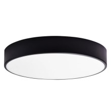 Светодиодный потолочный светильник для ванной комнаты RENE LED/15W/230V IP44 черный