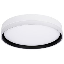 Светодиодный потолочный светильник FLORIDA LED/24W/230V белый