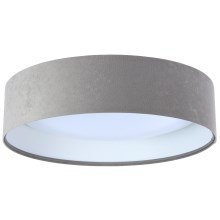 Светодиодный потолочный светильник GALAXY 1xLED/20W/230V серый/белый