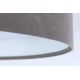 Светодиодный потолочный светильник GALAXY 1xLED/20W/230V серый/белый