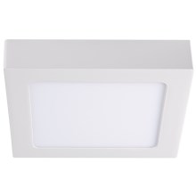 Светодиодный потолочный светильник KANTI LED/12W/230V 3000K белый