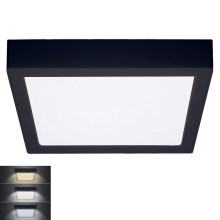 Светодиодный потолочный светильник LED/24W/230V 3000/4000/6000K черный угловой
