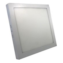 Светодиодный потолочный светильник LED/24W/230V 3000K