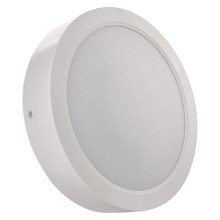 Светодиодный потолочный светильник LED/24W/230V диаметр 22 cm белая