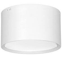 Светодиодный потолочный светильник LED/25W/230V белый диаметр 15 см