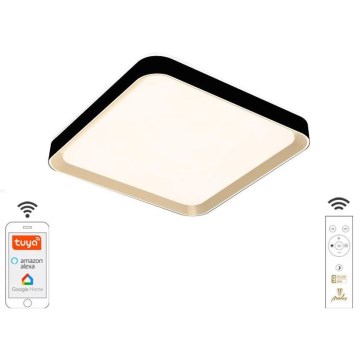 Светодиодный потолочный светильник с регулированием яркости LED/48W/230V 2700-6500K Wi-Fi Tuya + пульт ДУ