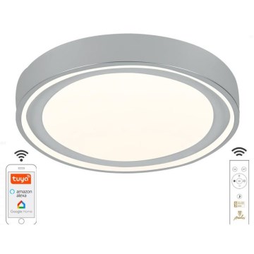 Светодиодный потолочный светильник с регулированием яркости LED/48W/230V 2700-6500K Wi-Fi Tuya + пульт ДУ