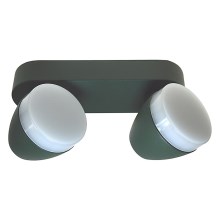 Светодиодный потолочный светильник SURMUR 2xLED/6W/230V зеленый