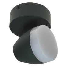 Светодиодный потолочный светильник SURMUR LED/6W/230V зеленый