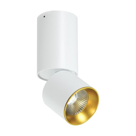 Светодиодный потолочный точечный светильник LED/10W/230V