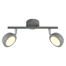 Светодиодный точечный светильник MILD 2xLED/6W/230V серый