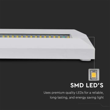 Светодиодный уличный лестничный светильник LED/3W/230V IP65 4000K белый