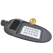 Светодиодный уличный светильник BOSTON LED/60W/230V IP65