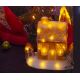 Светодиодное рождественское украшение LED/3xAA теплый белый