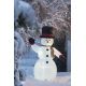 Светодиодное уличное рождественское украшение 4xLED/12W/12/230V IP44 холодный белый