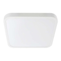 Світильник для ванної кімнати на стелю LED SAMSUNG CHIP LED/24W/230V IP44 6500K 29x29 см білий