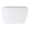 Світильник для ванної кімнати на стелю LED SAMSUNG CHIP LED/48W/230V IP44 3000K 42x42 см білий