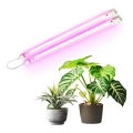 Світильник LED для підсвічування рослин GROWLY 2xLED/8,5W/230V білий