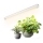 Світильник LED для підсвічування рослин GROWLY LED/9W/230V білий