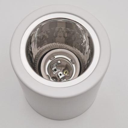 Світильник точковий LED TACO 1xE27/15W/230V білий