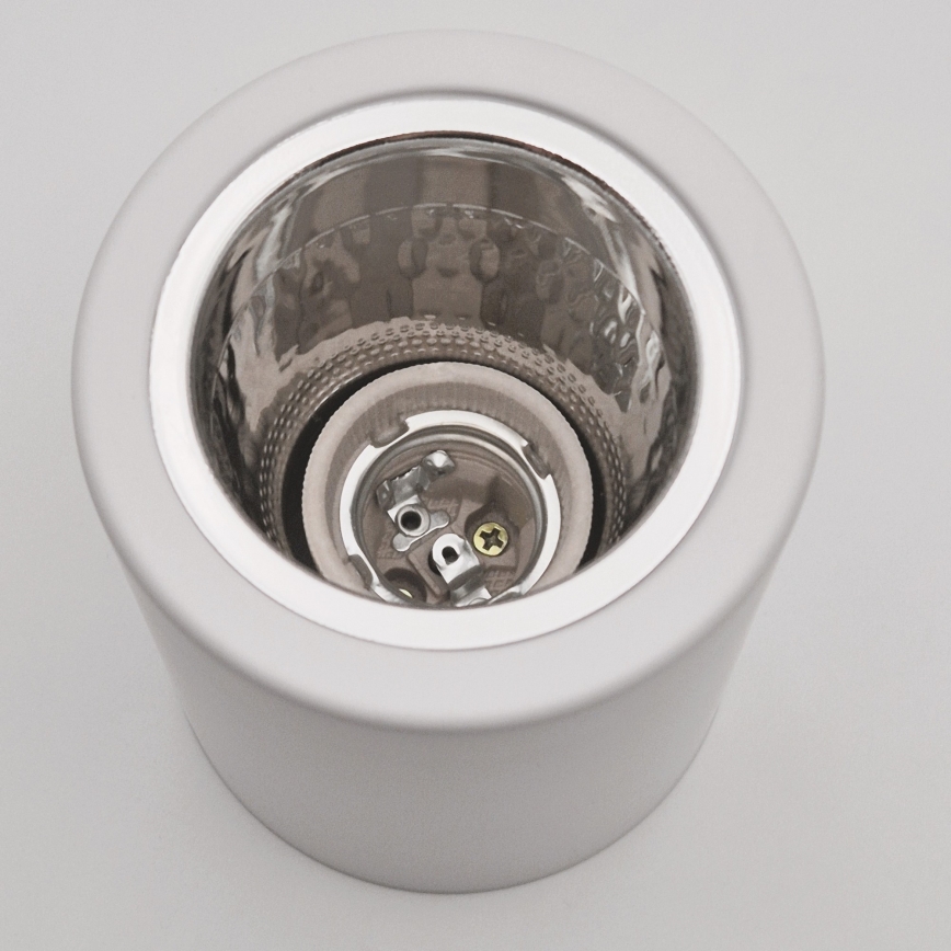Світильник точковий LED TACO 1xE27/15W/230V білий