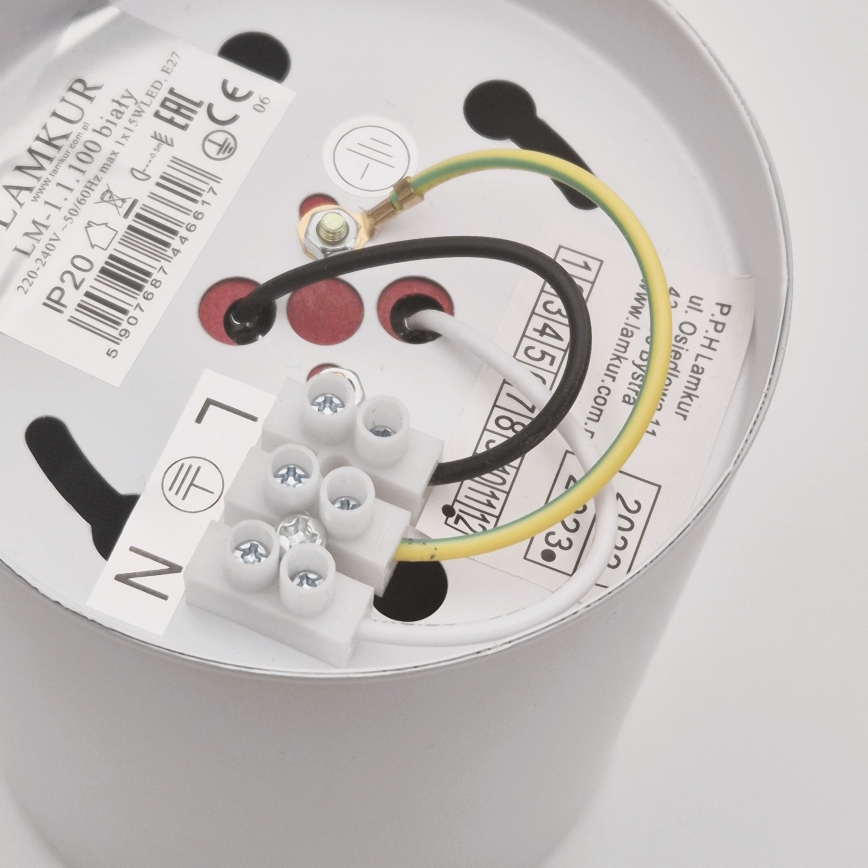 Світильник точковий LED TACO 1xE27/15W/230V білий